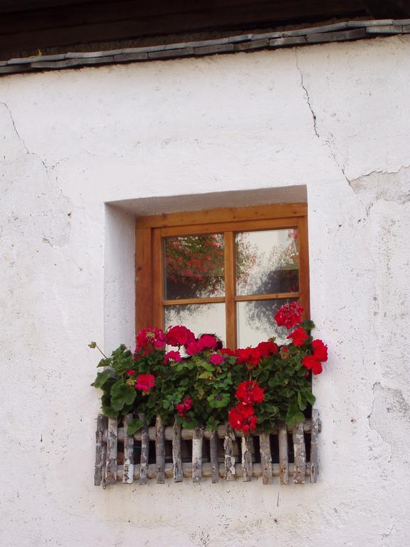 Mansarda Dolomiti Apartment Rasun di Sopra Bagian luar foto